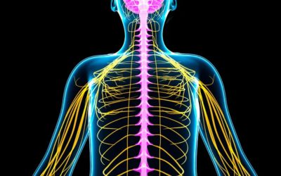 Your Nervous System is Key for Confidence