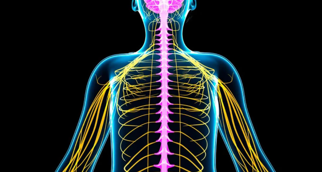 Your Nervous System is Key for Confidence