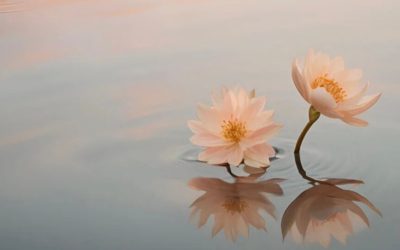 The Science of Emotional Overwhelm (And How To Feel Safe Again)