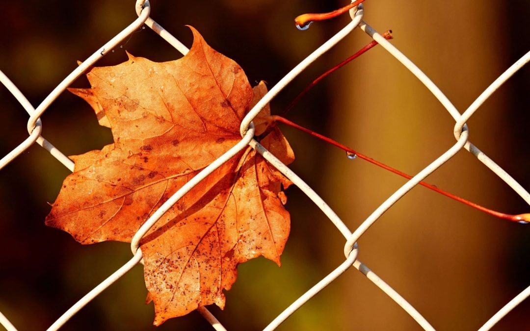 Why Am I So Self-Aware but Still Stuck?