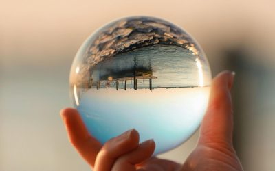 The Link Between Nervous System Safety and Clear Decision-Making