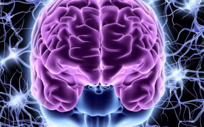 What Nervous System Regulation Actually Changes Over Time