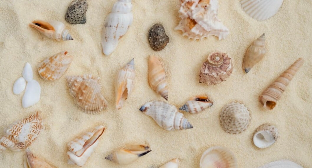 How People-Pleasing Undermines Confidence Over Time