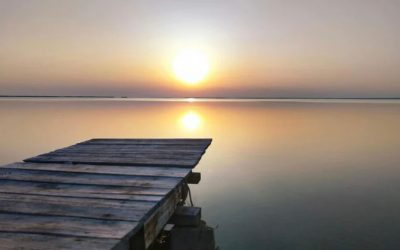 When Therapy Helped but Something Still Did Not Shift