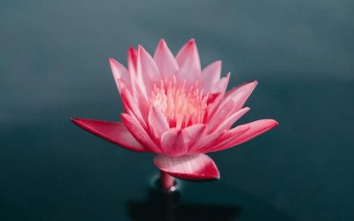 Burnout Isn’t The Problem – It’s The Signal