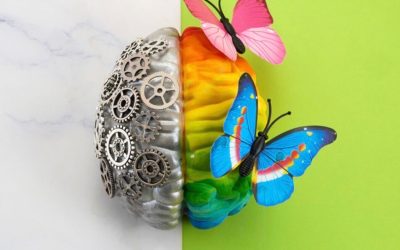 The Neuroplasticity Myth: What “Rewiring Your Brain” Actually Looks Like